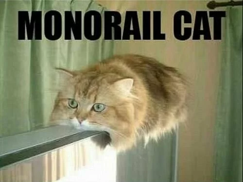 Монорельсовый кот